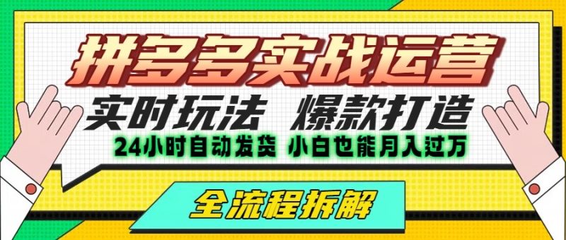拼多多最新实战运营高投产：长久稳定项目，单店利润一天三位数祝你网-副业赚钱-互联网创业-资源整合祝你网