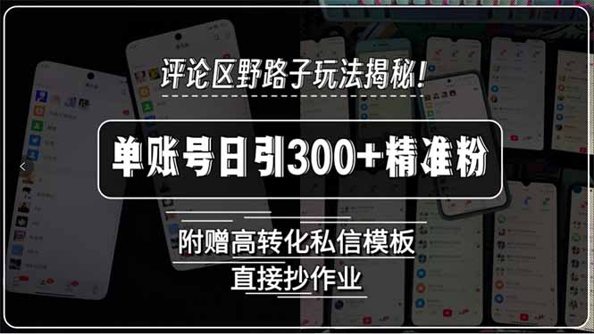 评论区野路子玩法揭秘！单账号日引300+精准粉，附赠高转化私信模板，直…祝你网-副业赚钱-互联网创业-资源整合祝你网