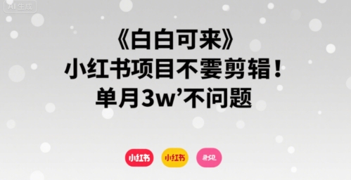 小白可来 小红书项目不需要剪辑 单月3w不是问题祝你网-副业赚钱-互联网创业-资源整合祝你网