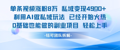 单条视频私域变现4.9k+利用AI做私域玩法 已经开始火热0基础也能做的副业项目轻松上手祝你网-副业赚钱-互联网创业-资源整合祝你网