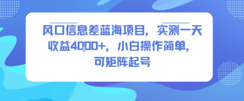风口信息差蓝海项目，实测一天收益4k+，小白操作简单，可矩阵起号祝你网-副业赚钱-互联网创业-资源整合祝你网