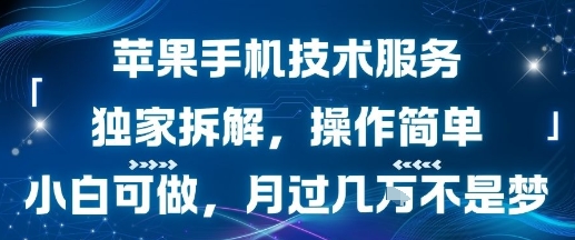 苹果手机技术服务，独家拆解，操作简单，小白可做，月过1W不是梦祝你网-副业赚钱-互联网创业-资源整合祝你网