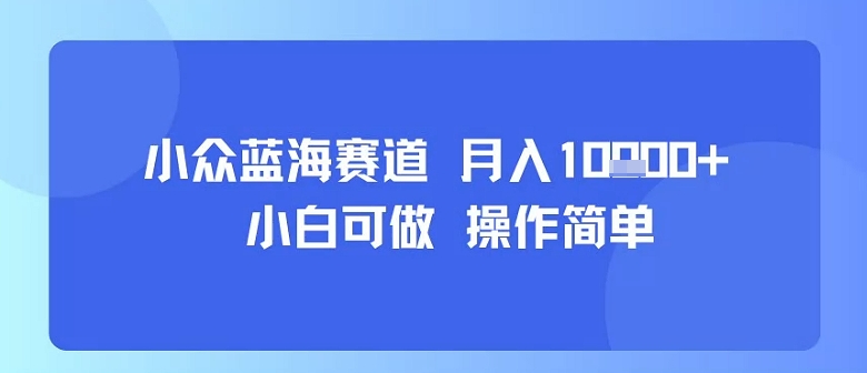 小众蓝海赛道，小白可做，操作简单，每天30分钟，月入1W+祝你网-副业赚钱-互联网创业-资源整合祝你网