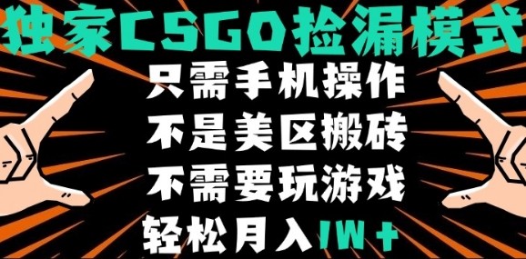 CSGO自动捡漏项目，最新独家玩法，不是美区搬砖，不需要了解和玩游戏，新手小白轻松月入1W+【揭秘】祝你网-副业赚钱-互联网创业-资源整合祝你网