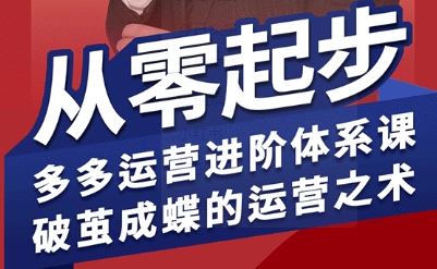 拼多多运营进阶系统课，从零起步，多多运营进阶体系课，破茧成蝶的运营之术祝你网-副业赚钱-互联网创业-资源整合祝你网