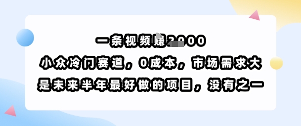 一条视频挣1k，小众冷门赛道，0成本，市场需求大，是未来半年最好做的项目，没有之一祝你网-副业赚钱-互联网创业-资源整合祝你网