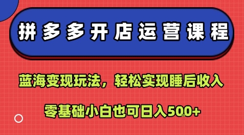 拼多多开店运营课程：蓝海变现玩法，轻松实现睡后收入，零基础小白也可日入5张祝你网-副业赚钱-互联网创业-资源整合祝你网