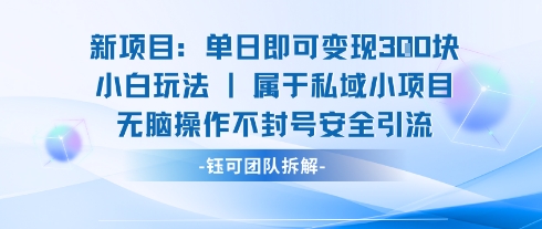新项目单日即可变现3张的小白玩法无脑操作不封号安全引流祝你网-副业赚钱-互联网创业-资源整合祝你网