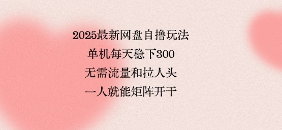 2025最新网盘自撸玩法，单机每天稳下3张，无需流量和拉人头，一个人就可轻松矩阵，全网独一份【揭秘】祝你网-副业赚钱-互联网创业-资源整合祝你网
