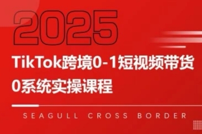 大亿老师·TikTok跨境0-1短视频带货祝你网-副业赚钱-互联网创业-资源整合祝你网