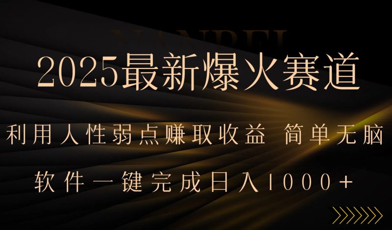 2025最新爆火赛道，利用人生弱点赚取收益，全程一键批量制作，小白轻松…祝你网-副业赚钱-互联网创业-资源整合祝你网