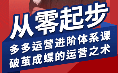 海神·拼多多运营进阶系统课(更新8月)祝你网-副业赚钱-互联网创业-资源整合祝你网