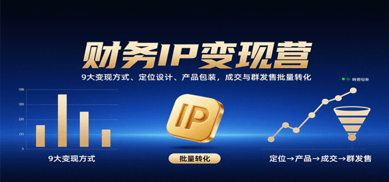 财务IP变现营：9大变现方式、定位设计、产品包装，成交与群发售批量转化祝你网-副业赚钱-互联网创业-资源整合祝你网