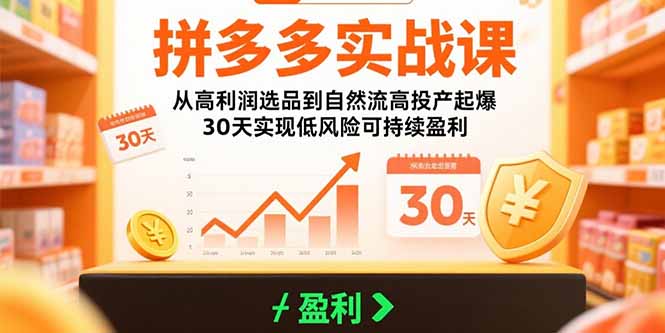 拼多多实战课：从高利润选品到自然流高投产起爆 30天实现低风险可持续盈利祝你网-副业赚钱-互联网创业-资源整合祝你网