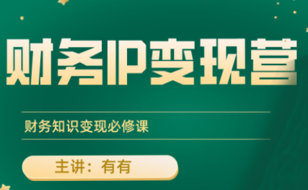 有有老师·财务IP变现营，财务知识变现必修课祝你网-副业赚钱-互联网创业-资源整合祝你网