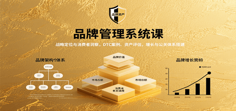 品牌管理系统课：战略定位与消费者洞察，DTC案例、资产评估，增长与公关体系搭建祝你网-副业赚钱-互联网创业-资源整合祝你网