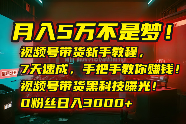 月入5万不是梦！视频号带货新手教程，7天速成，手把手教你赚钱！视频号…祝你网-副业赚钱-互联网创业-资源整合祝你网
