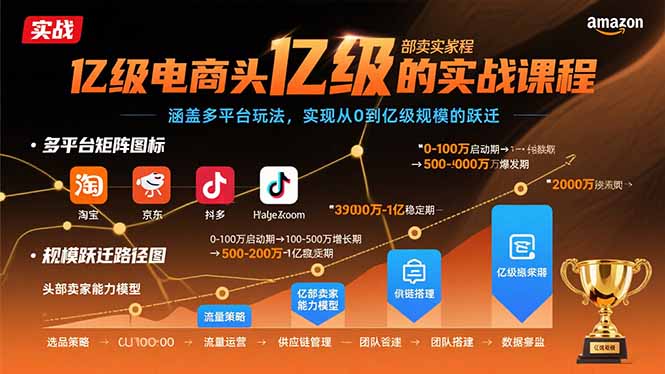 亿级电商头部卖家的实战课程：涵盖多平台玩法，实现从0到亿级规模的跃迁祝你网-副业赚钱-互联网创业-资源整合祝你网