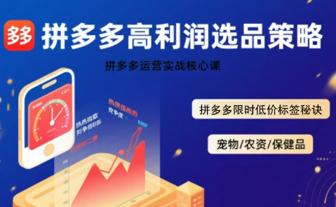 久号老师·拼多多选品暴利技术实战课祝你网-副业赚钱-互联网创业-资源整合祝你网