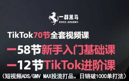 TikTok全套视频课，新手入门+进阶课，短视频ADS-GMV MAX投流打品，日销破1000单打法祝你网-副业赚钱-互联网创业-资源整合祝你网