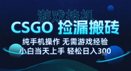 8月最新游戏搬砖，CSGO纯挂G，不需要玩游戏，实现真挂G，月入1W+【揭秘】祝你网-副业赚钱-互联网创业-资源整合祝你网