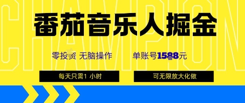 番茄音乐人掘金，单账号最高可撸1k+，可无限矩阵去做，零投入祝你网-副业赚钱-互联网创业-资源整合祝你网