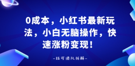 0成本，小红书最新玩法，小白无脑操作，快速涨粉变现祝你网-副业赚钱-互联网创业-资源整合祝你网