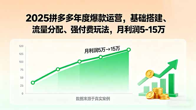2025拼多多年度爆款运营，基础搭建、流量分配、强付费玩法，月利润5-15万祝你网-副业赚钱-互联网创业-资源整合祝你网