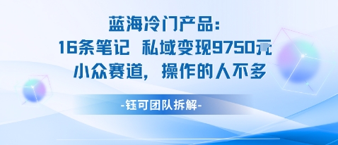 蓝海项目：16条笔记私域变现9750米小众赛道操作的人不多祝你网-副业赚钱-互联网创业-资源整合祝你网