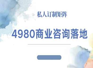 4980商业咨询师落地课程-ip运营高客单教程祝你网-副业赚钱-互联网创业-资源整合祝你网