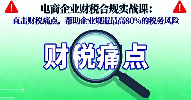 电商企业财税合规实战课，直击财税痛点，帮助企业规避最高80%的税务风险祝你网-副业赚钱-互联网创业-资源整合祝你网