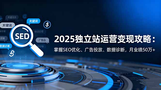 316693d8a290e075f25e68d86899ea98.jpeg 2025独立站运营变现攻略:掌握SEO优化、广告投放、数据诊断,月业绩50万+