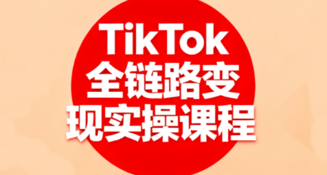 小杨老师·TikTok全链路变现实操课程祝你网-副业赚钱-互联网创业-资源整合祝你网