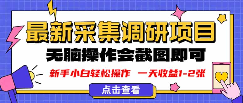 新版采集调研项目，截图上传即可，无脑操作，日收益1-2张祝你网-副业赚钱-互联网创业-资源整合祝你网