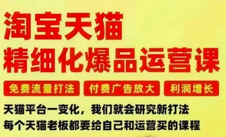 淘宝天猫精细化爆品运营课，免费流量打法-付费广告放大-利润增长-三大核心痛点，一次全部解决祝你网-副业赚钱-互联网创业-资源整合祝你网