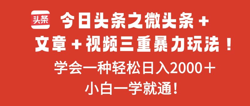 今日头条之微头条＋文章＋视频三重暴力玩法，学会一种轻松日入2000＋祝你网-副业赚钱-互联网创业-资源整合祝你网