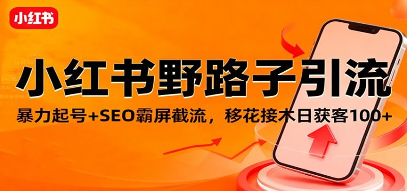 b8981d18d51d7a10ccf38df6dd4dd01f-800x376.jpeg 小红书野路子引流,暴力起号+SEO霸屏截流,移花接木日获客100+