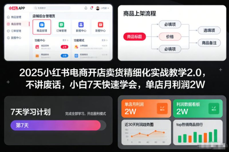 1-375-800x531.jpg 2025小红书电商开店卖货精细化实战教学2.0,不讲废话,小白7天快速学会,单店月利润2W