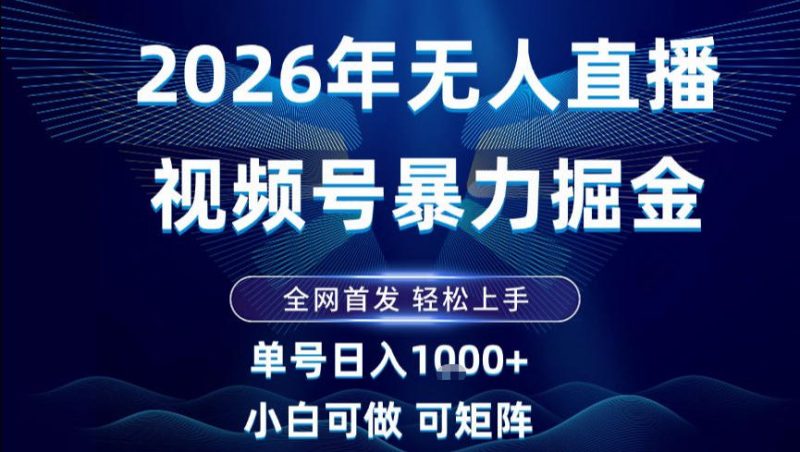 2026最新视频号无人直播掘金，全网首发，小白可以玩，长期稳定日入1k+祝你网-副业赚钱-互联网创业-资源整合祝你网