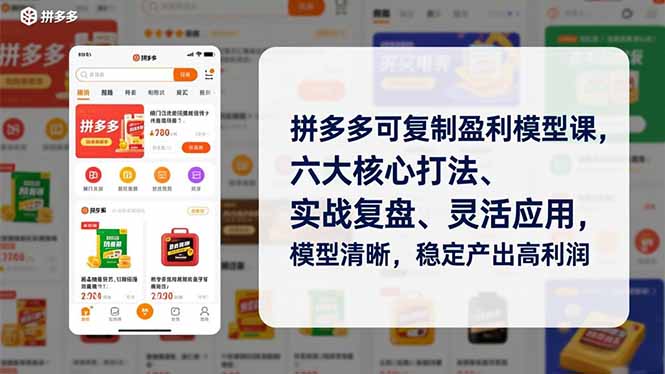 拼多多可复制盈利模型课，六大核心打法、实战复盘、灵活应用，模型清晰，稳定产出高利润祝你网-副业赚钱-互联网创业-资源整合祝你网