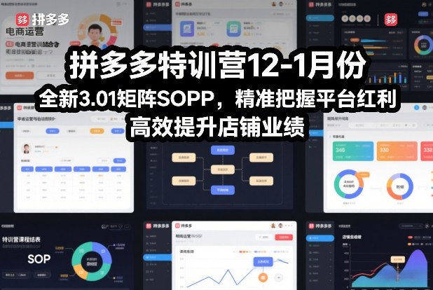 拼多多特训营12-1月份，全新3.01矩阵Sop，精准把握平台红利，高效提升店铺业绩祝你网-副业赚钱-互联网创业-资源整合祝你网
