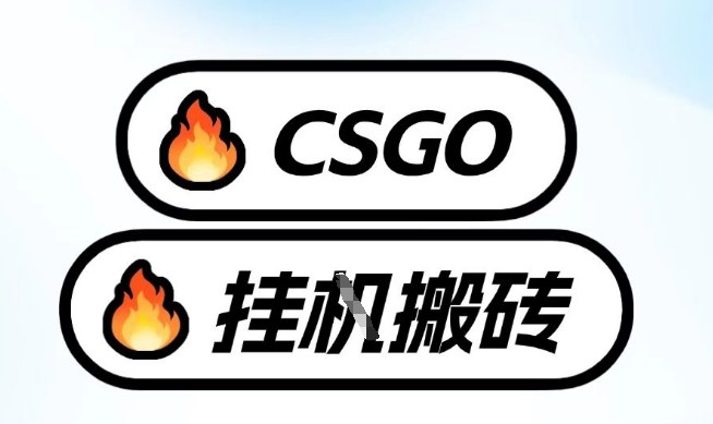 真全网独家CSGO挂G，最新玩法,单日捡漏1K+，不用电脑，不用打游戏祝你网-副业赚钱-互联网创业-资源整合祝你网