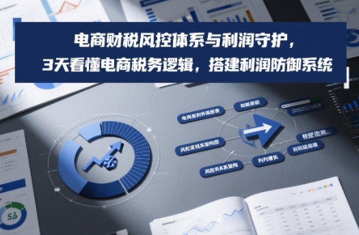 电商财税风控体系与利润守护，3天看懂电商税务逻辑，搭建利润防御系统祝你网-副业赚钱-互联网创业-资源整合祝你网