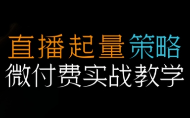 28484cb618f095b210eace416850229f.png 半野老师·直播带货起量与微付费必学课视频号(更新2026)