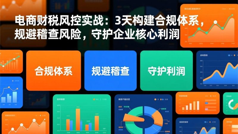 电商财税风控实战：3天构建合规体系，规避稽查风险，守护企业核心利润祝你网-副业赚钱-互联网创业-资源整合祝你网