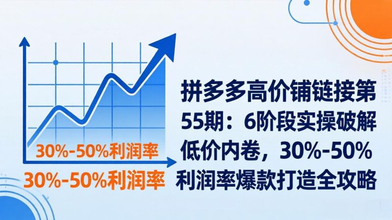 拼多多高价铺链接第55期：6阶段实操破解低价内卷，30%-50%利润率爆款打造全攻略祝你网-副业赚钱-互联网创业-资源整合祝你网