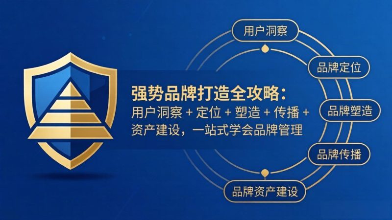 强势品牌打造全攻略：用户洞察 + 定位 + 塑造 + 传播 + 资产建设，一站式学会品牌管理祝你网-副业赚钱-互联网创业-资源整合祝你网