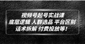 底层逻辑《视频号起号实战课》话术拆解,付费投放祝你网-副业赚钱-互联网创业-资源整合祝你网