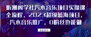 听潮阁学社汽水音乐项目实操课全流程,2023超级蓝海项目,汽水音乐推广,0粉丝也能做!祝你网-副业赚钱-互联网创业-资源整合祝你网