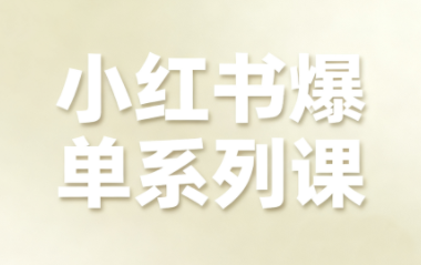 尼采老师·小红书爆单系列课祝你网-副业赚钱-互联网创业-资源整合祝你网